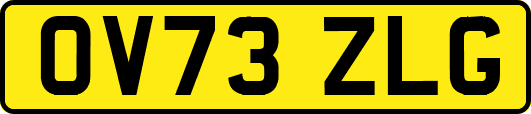 OV73ZLG