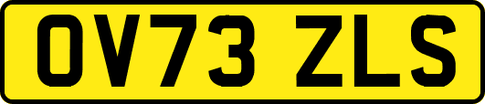 OV73ZLS