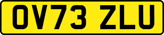 OV73ZLU