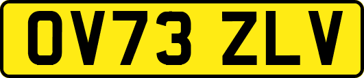 OV73ZLV