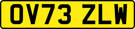 OV73ZLW