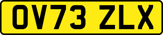 OV73ZLX