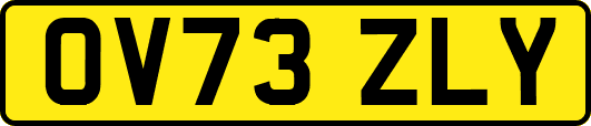 OV73ZLY