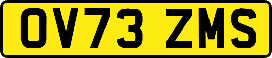 OV73ZMS