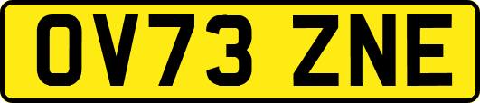 OV73ZNE