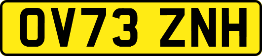 OV73ZNH
