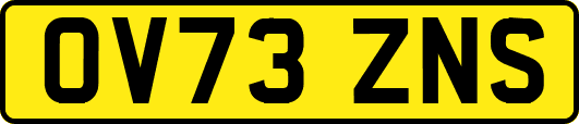 OV73ZNS