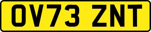 OV73ZNT