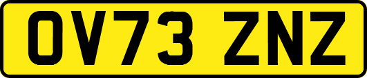 OV73ZNZ