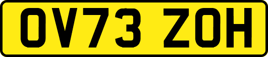 OV73ZOH