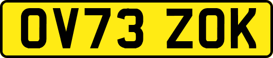 OV73ZOK