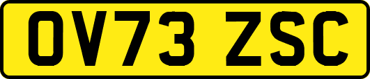 OV73ZSC