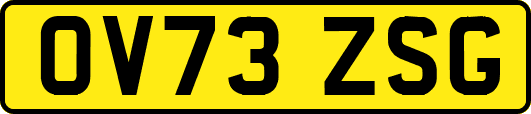 OV73ZSG