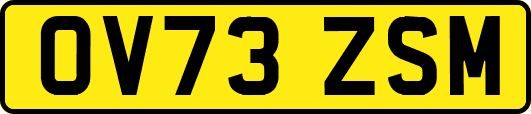 OV73ZSM