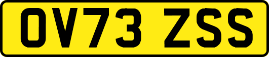 OV73ZSS