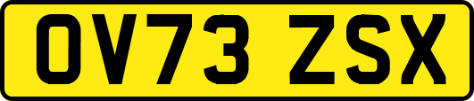 OV73ZSX