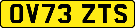 OV73ZTS