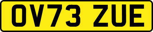 OV73ZUE