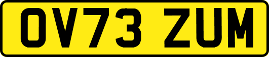 OV73ZUM
