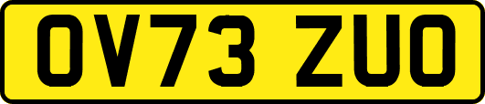 OV73ZUO