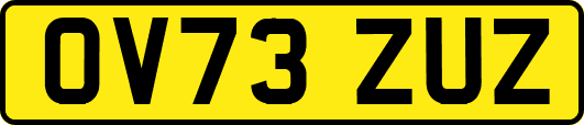 OV73ZUZ