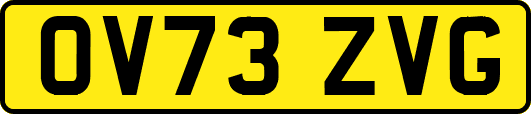 OV73ZVG