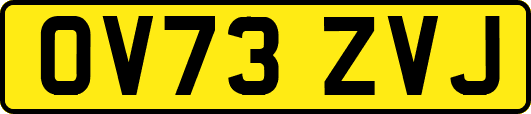 OV73ZVJ