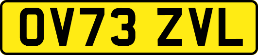 OV73ZVL