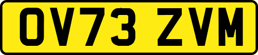 OV73ZVM