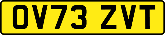 OV73ZVT