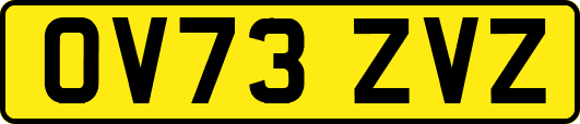 OV73ZVZ