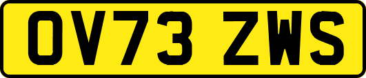 OV73ZWS