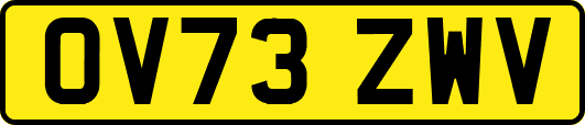 OV73ZWV