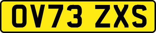 OV73ZXS