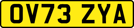 OV73ZYA