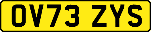 OV73ZYS