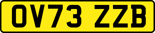 OV73ZZB