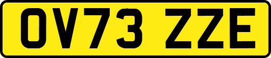 OV73ZZE