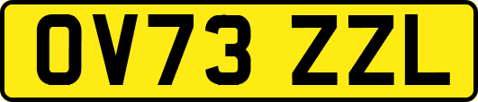OV73ZZL