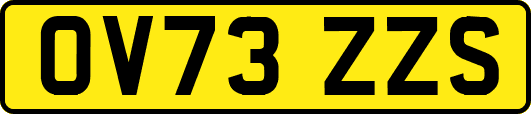 OV73ZZS
