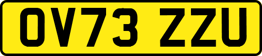 OV73ZZU