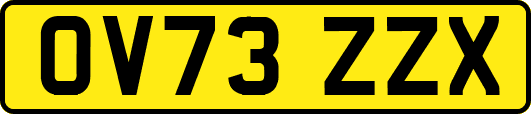 OV73ZZX