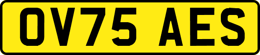 OV75AES