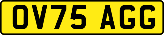 OV75AGG