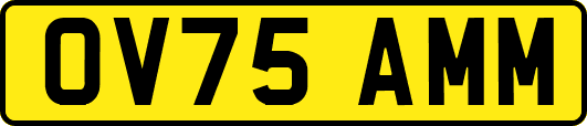 OV75AMM