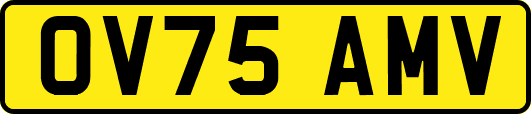 OV75AMV