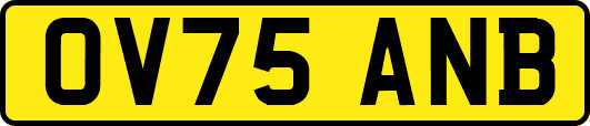 OV75ANB