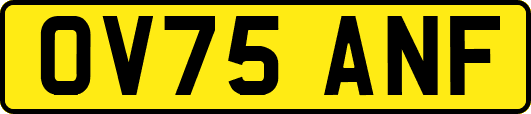 OV75ANF