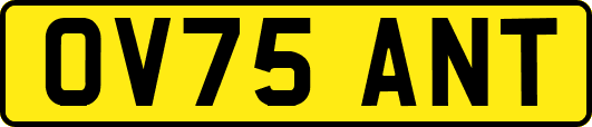 OV75ANT