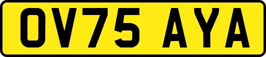 OV75AYA